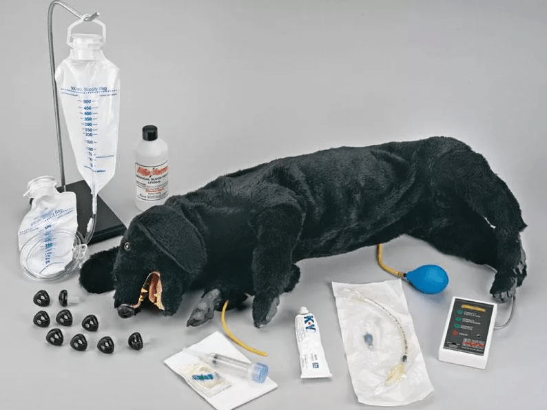 HLW Hund, erweiterte Ausführung - Erler - Zimmer